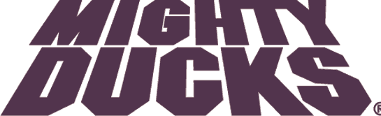 Mighty Ducks of Anaheim 1993-2006 Wordmark Logo DIY iron on transfer (heat transfer)